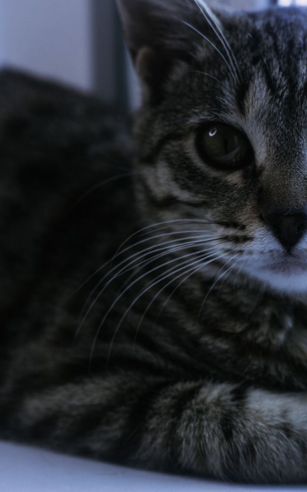 Photograph by Ольга Голованова