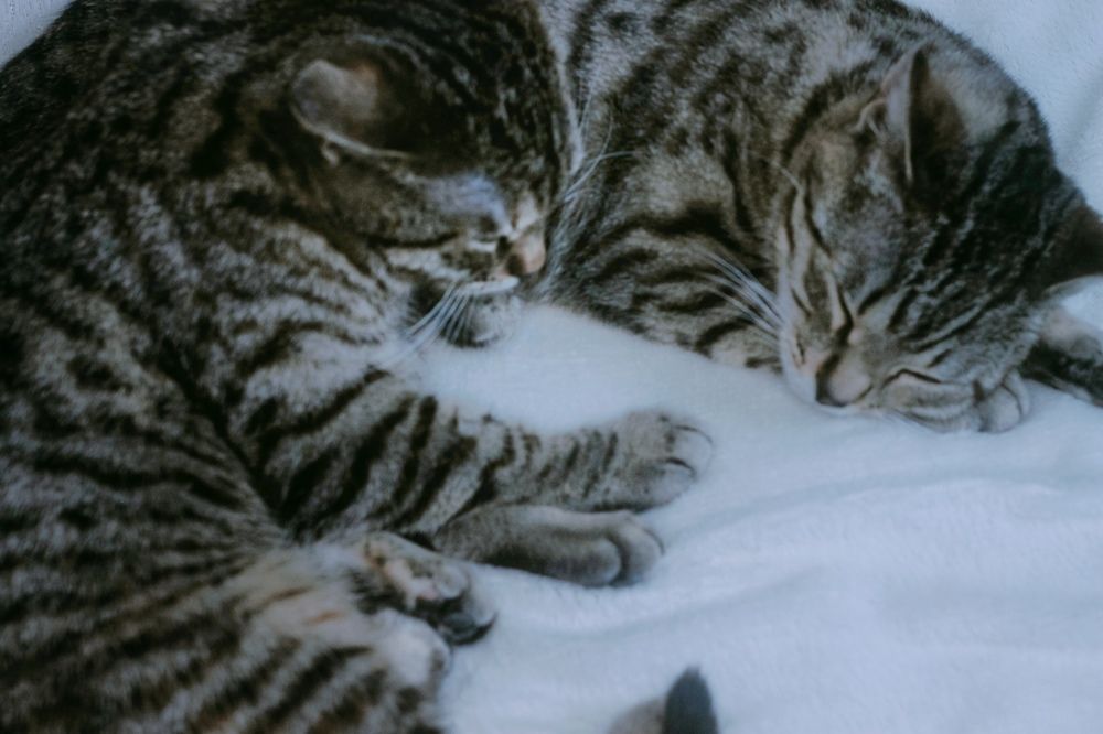 Photograph by Ольга Голованова