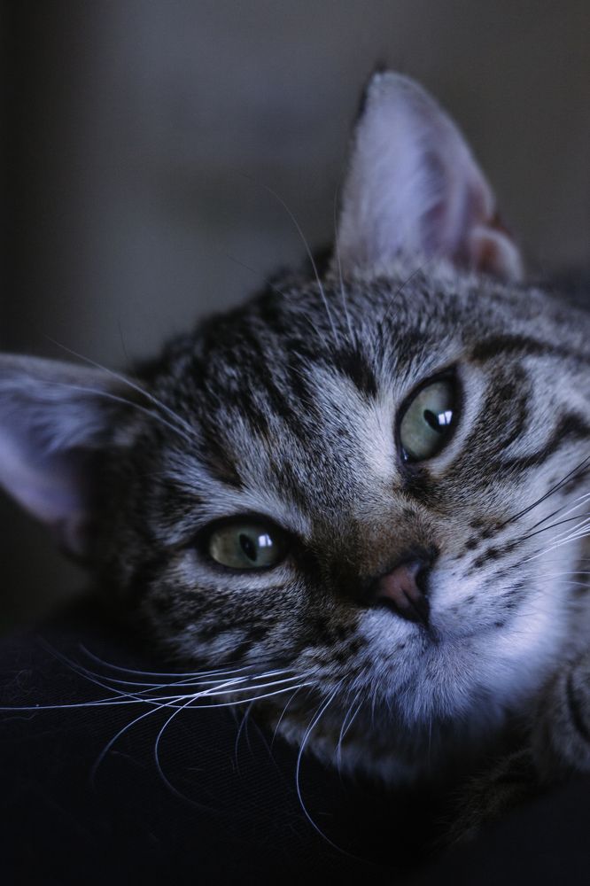 Photograph by Ольга Голованова