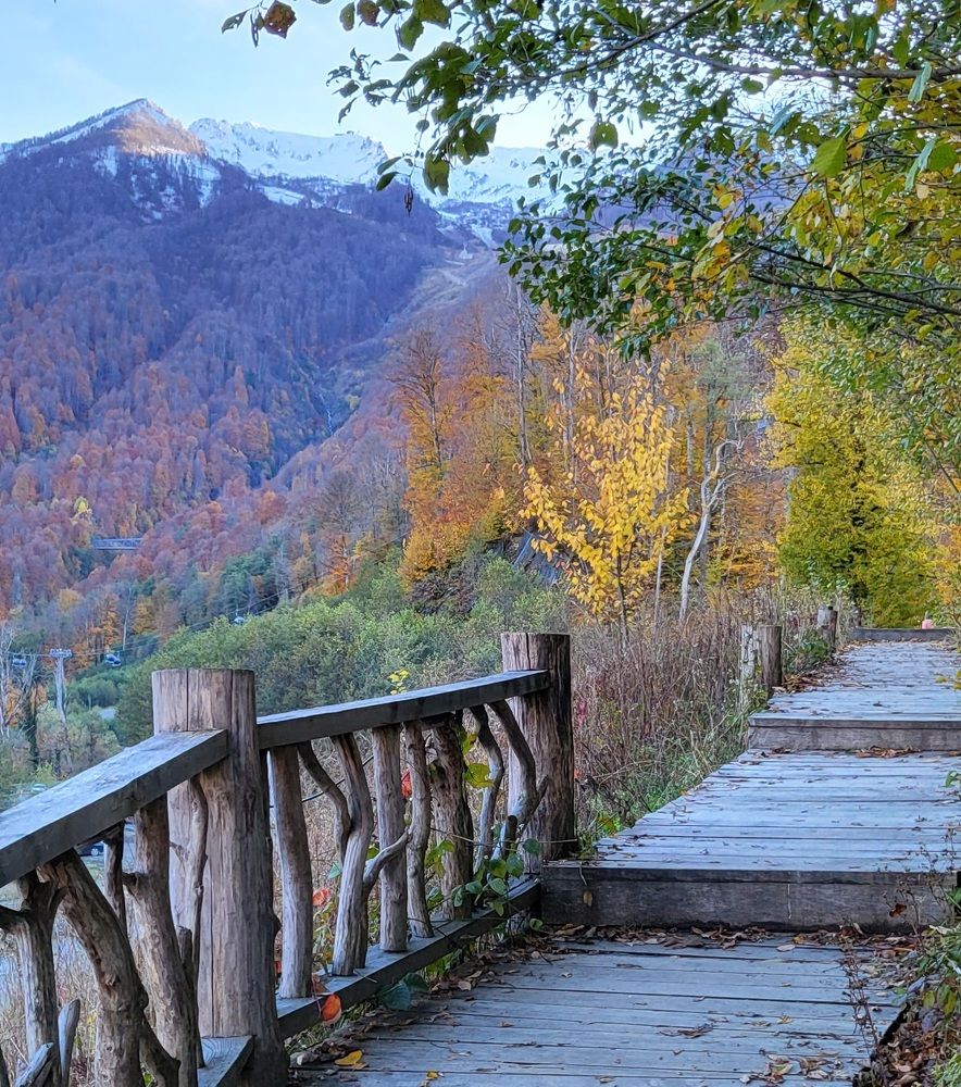 Photograph by Елена