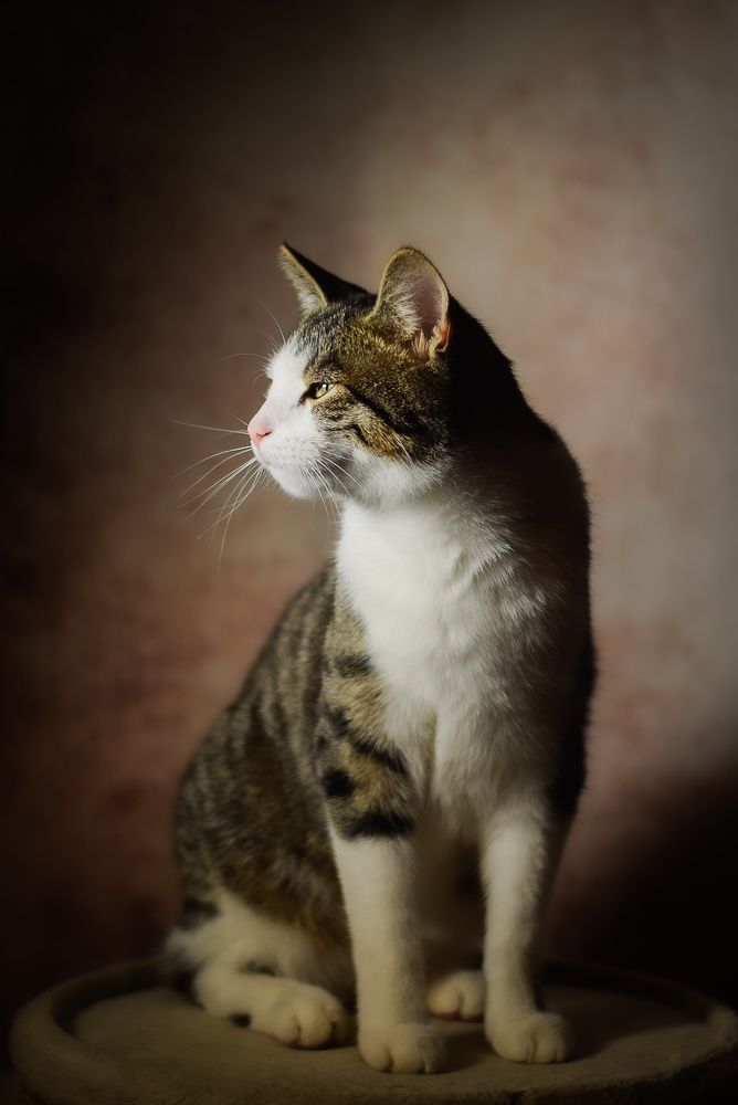 Photograph by Ольга Гердт