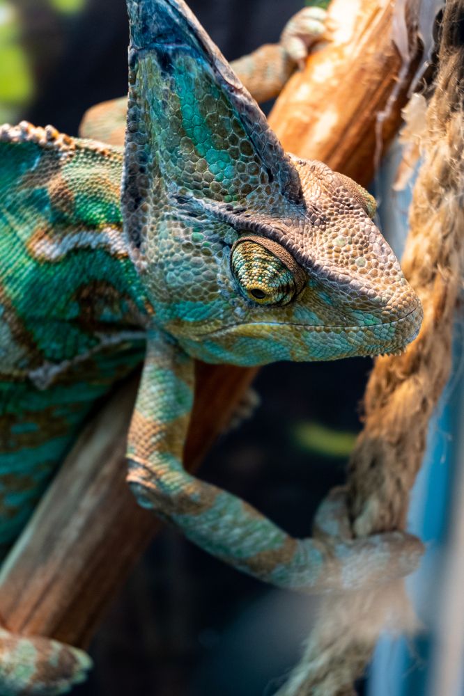 Photograph by Алексей Крукович