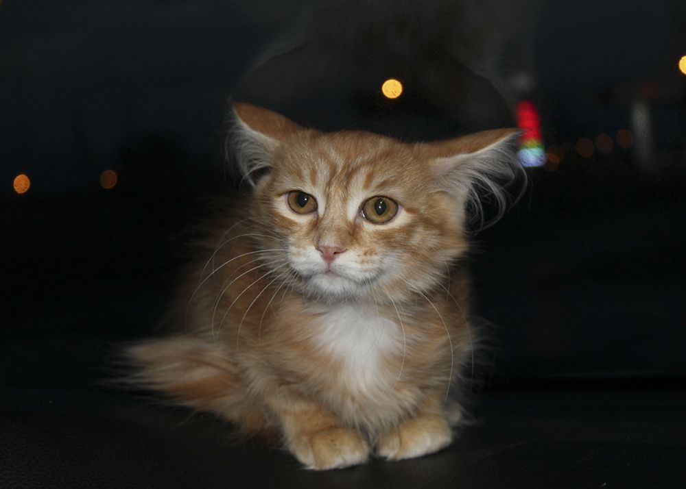 С верой, в людей!