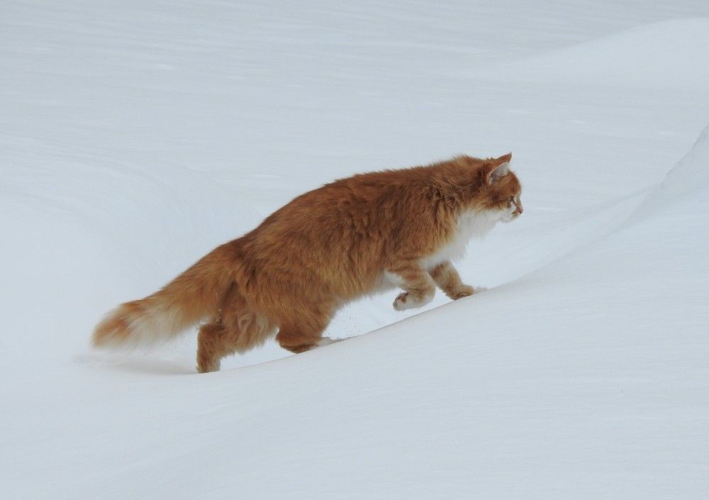 Photograph by Josée Beauchemin