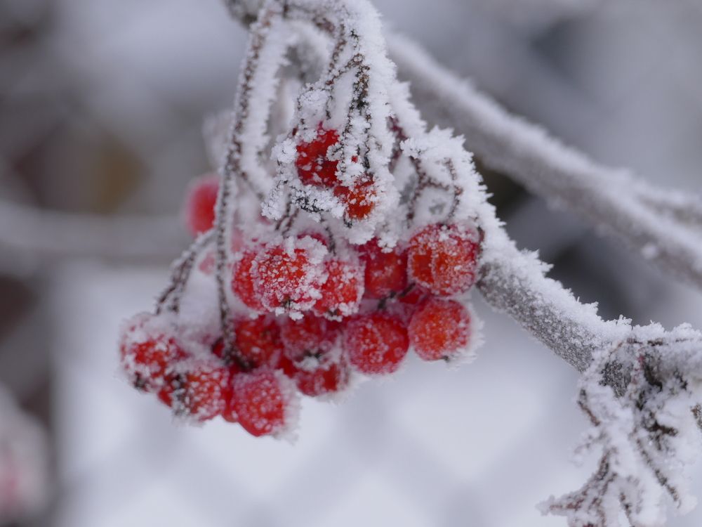 Photograph by Александр Кизим