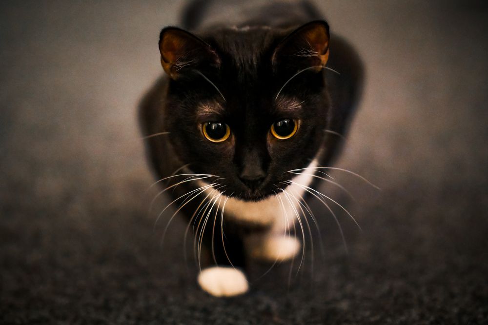 Фотография автора Aymeric