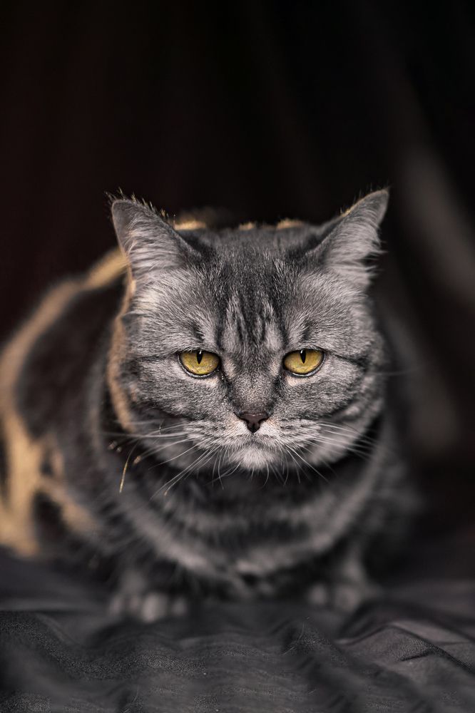 Photograph by Екатерина Малова