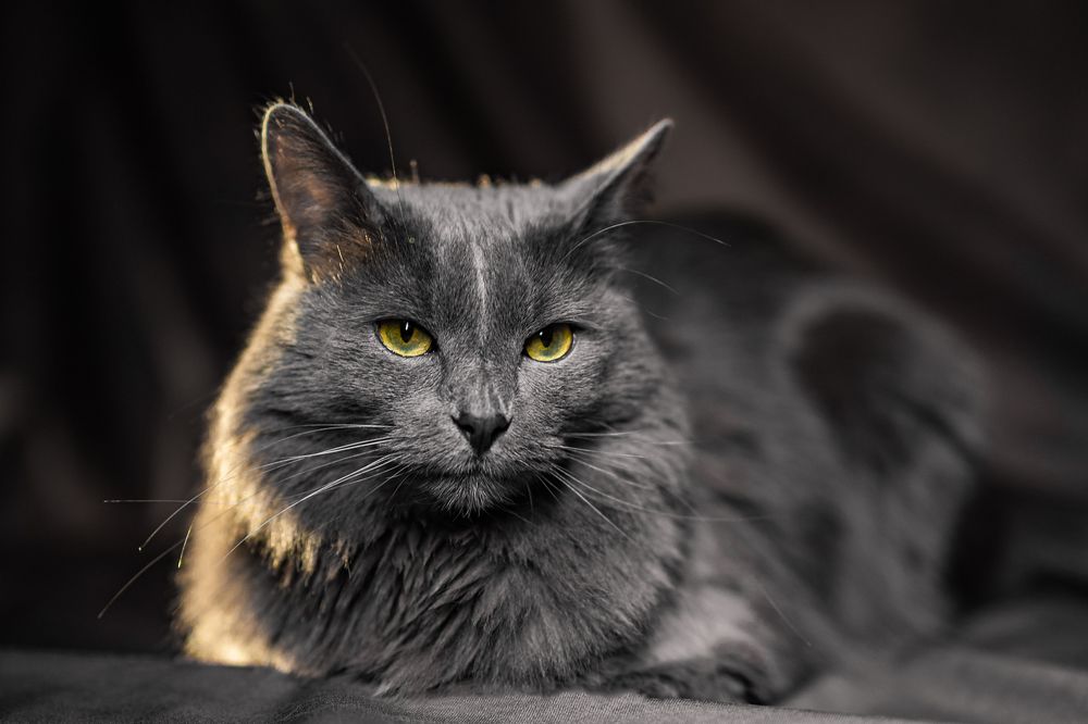 Photograph by Екатерина Малова