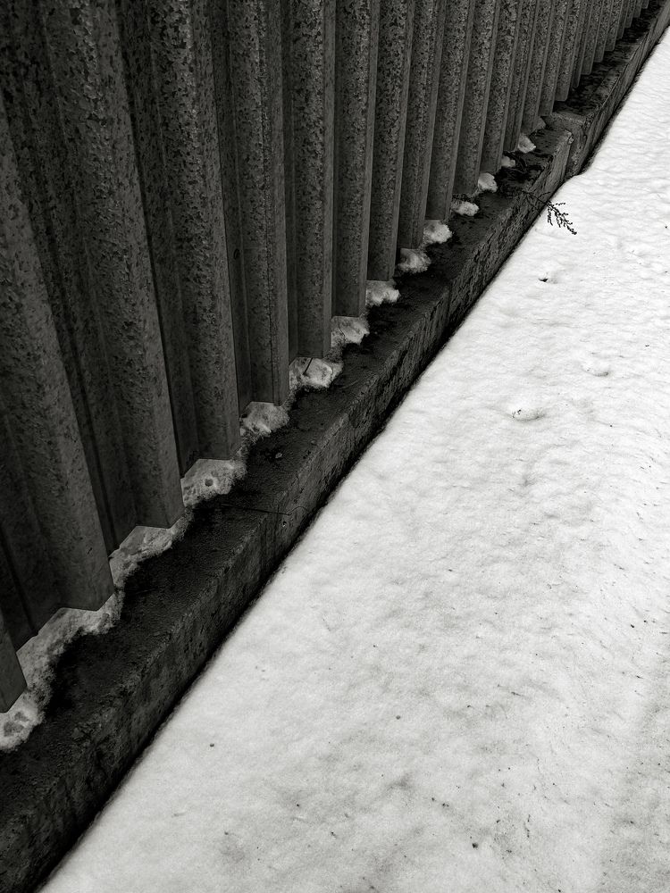 Photograph by Дарья Макаревич