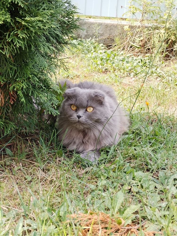 Photo #8995260