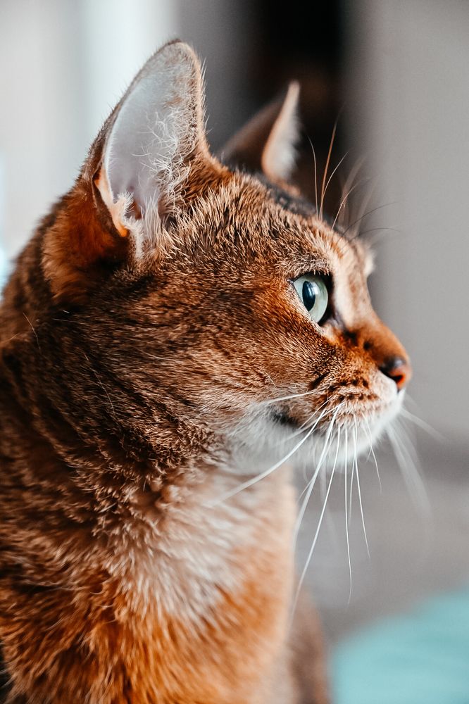 Фотография автора Воробьёва Анна