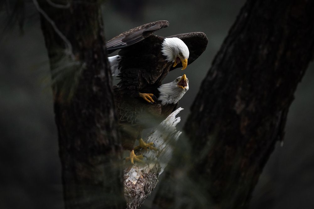 Photograph by Brett Macadam