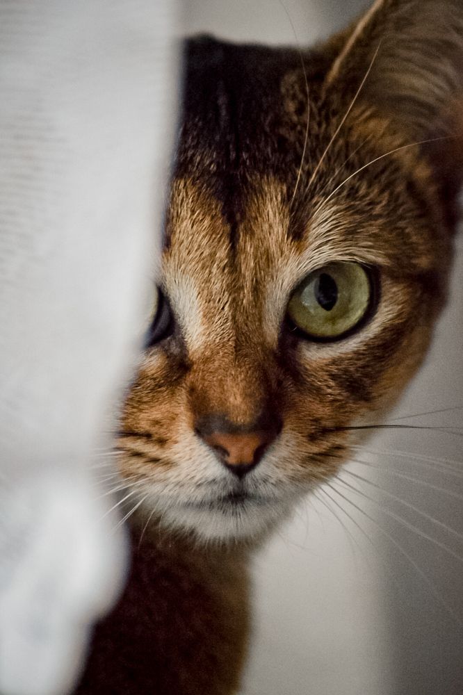 Фотография автора Воробьёва Анна