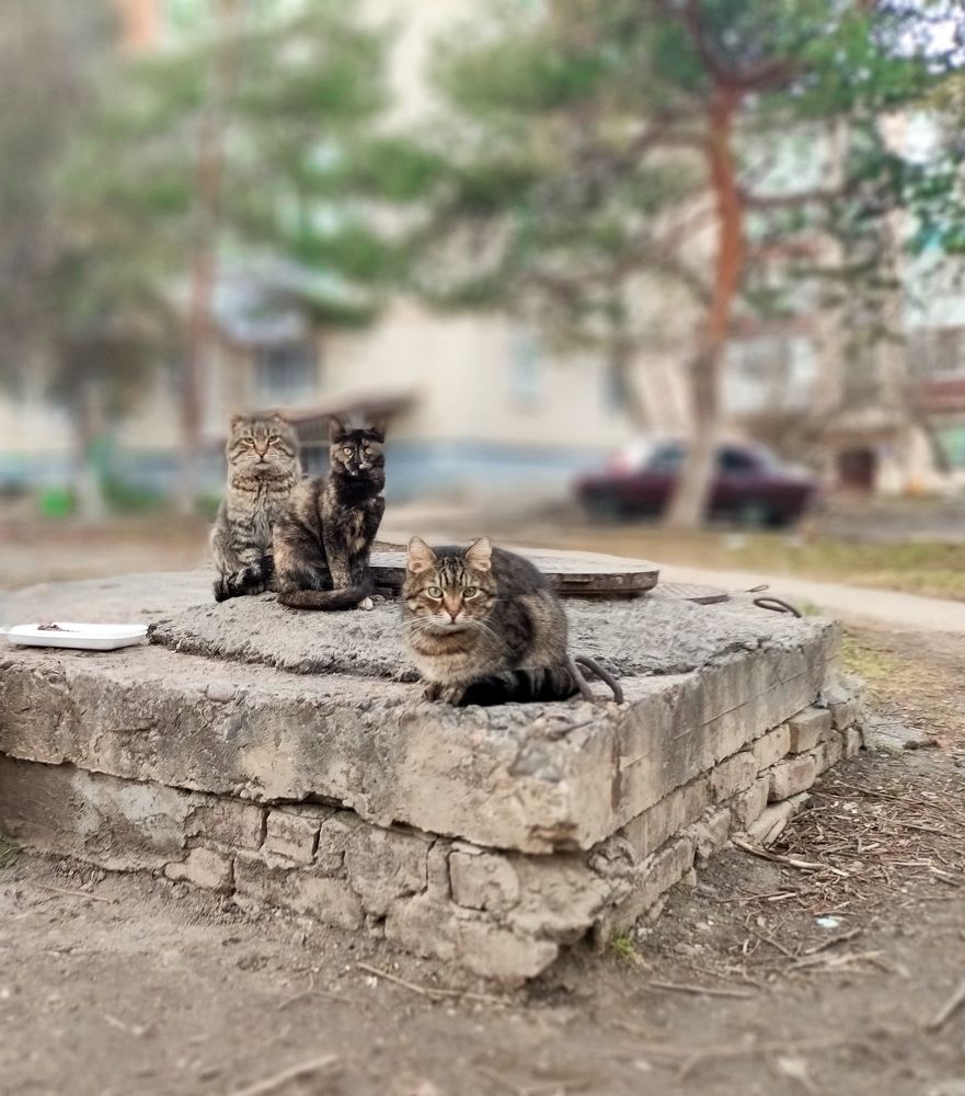 Photograph by Вадим Карпов