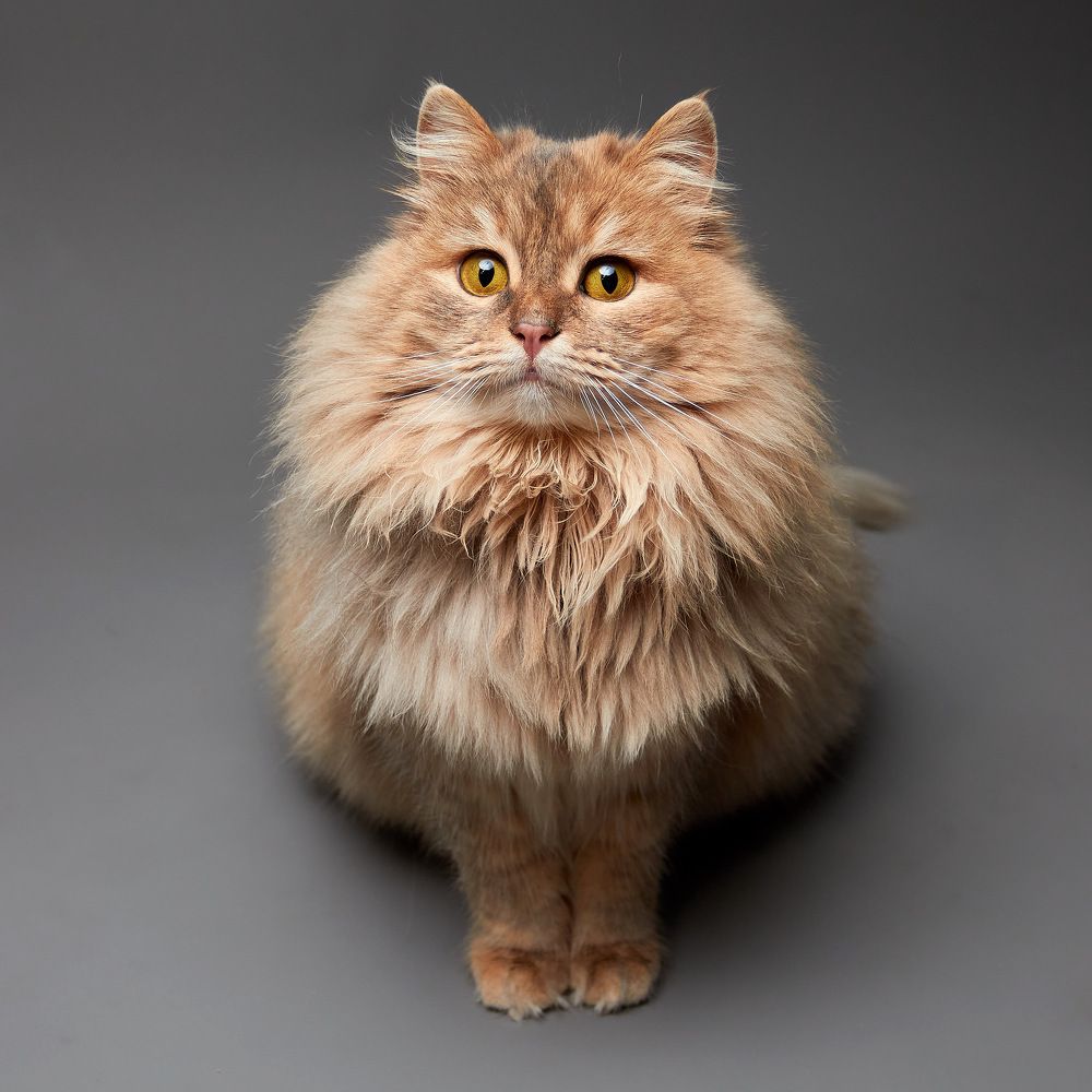 Photograph by Евграфов Александр