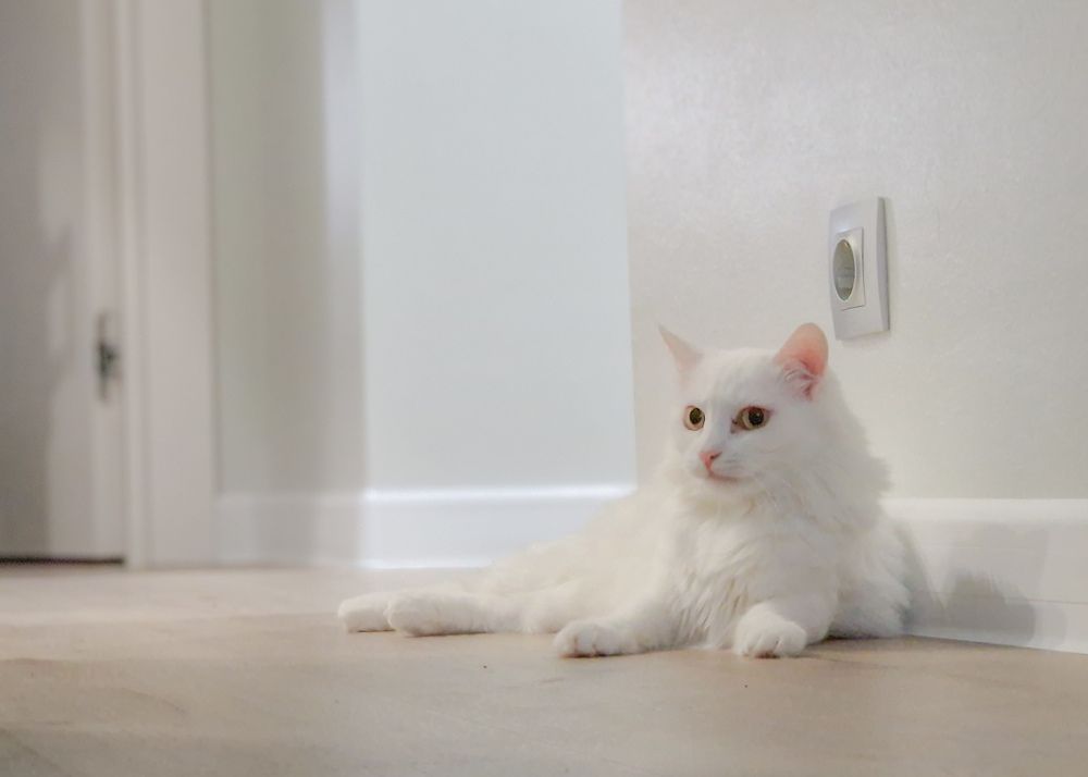 Photograph by Vera Vinogradova