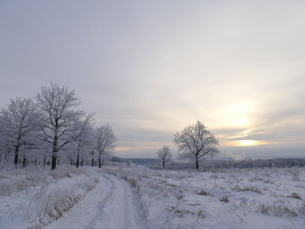 Photograph by Александр Кизим