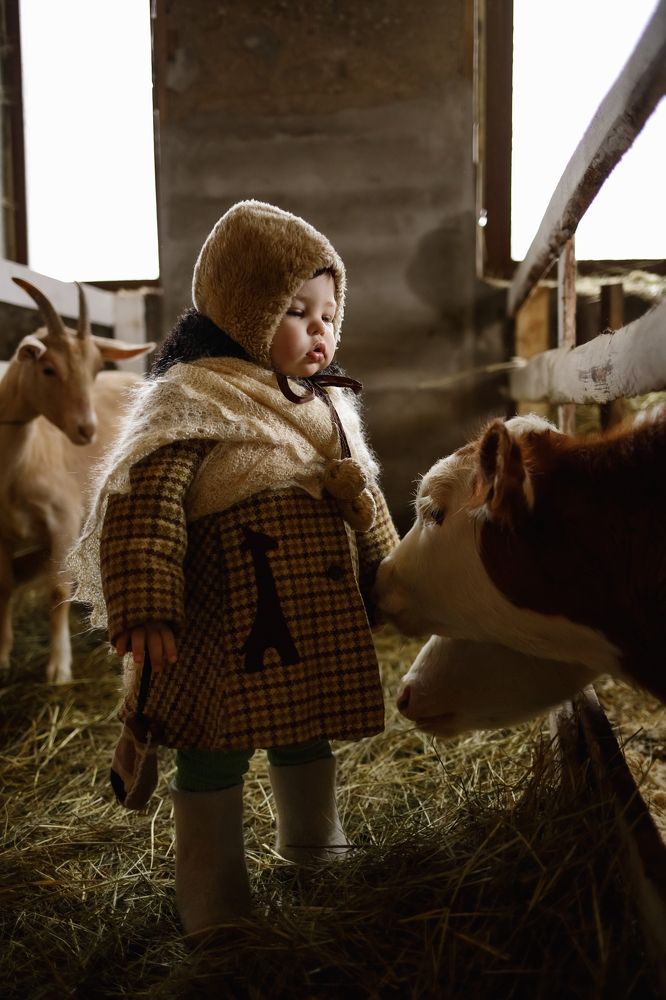 Photograph by Елена Горохова