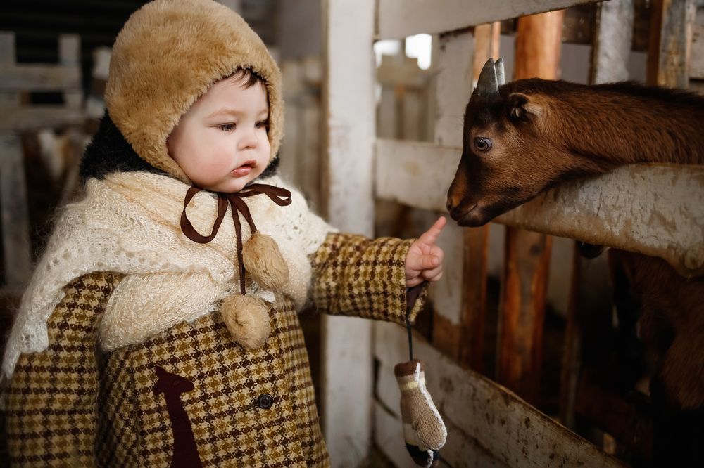 Photograph by Елена Горохова