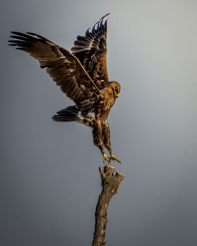 Photograph by Noushadali