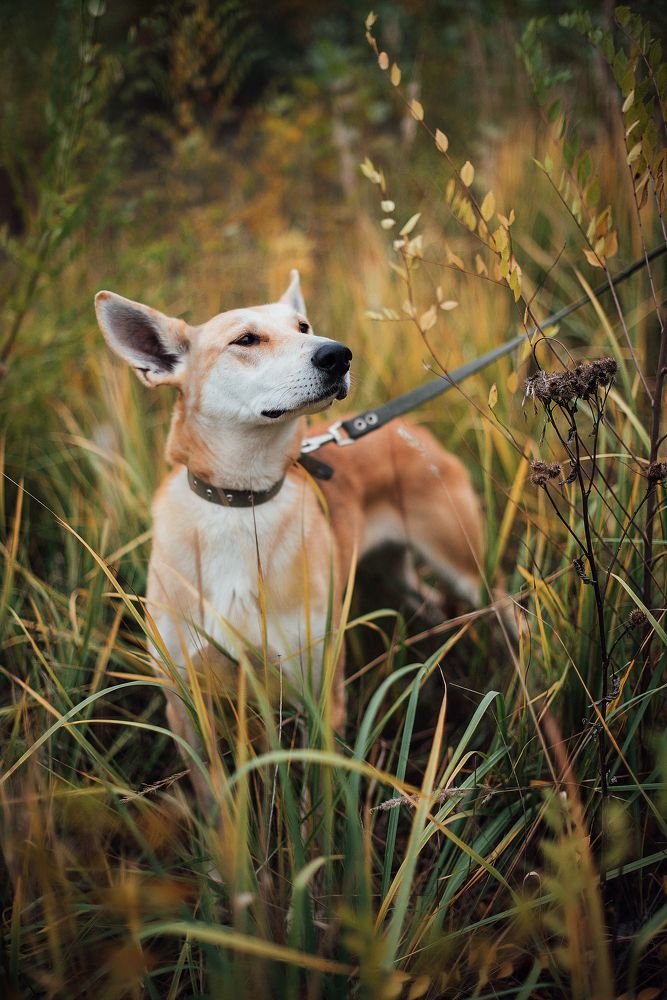 Фотография автора Мария Иодис
