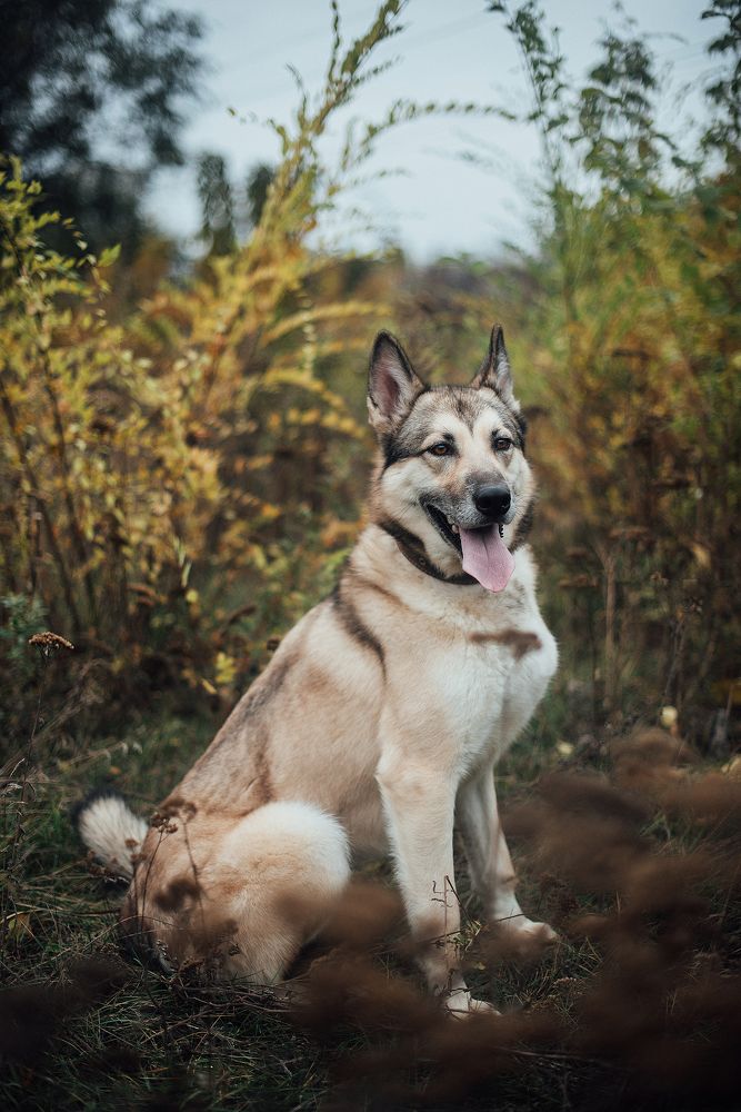 Фотография автора Мария Иодис