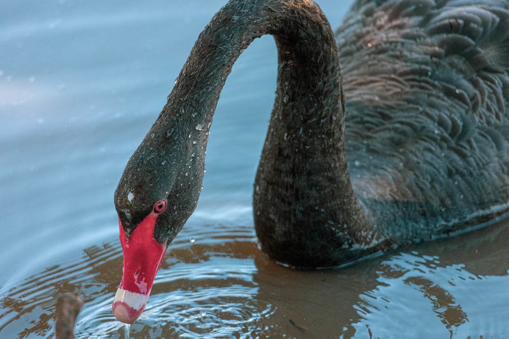 Photograph by Harshi Edirisinghe