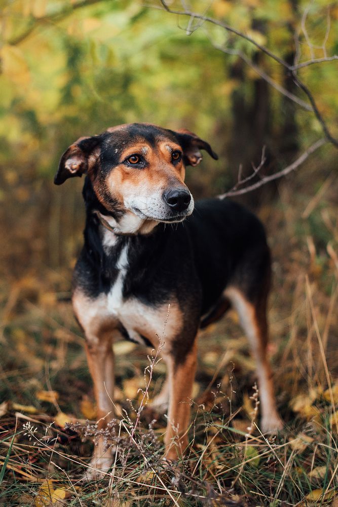 Фотография автора Мария Иодис