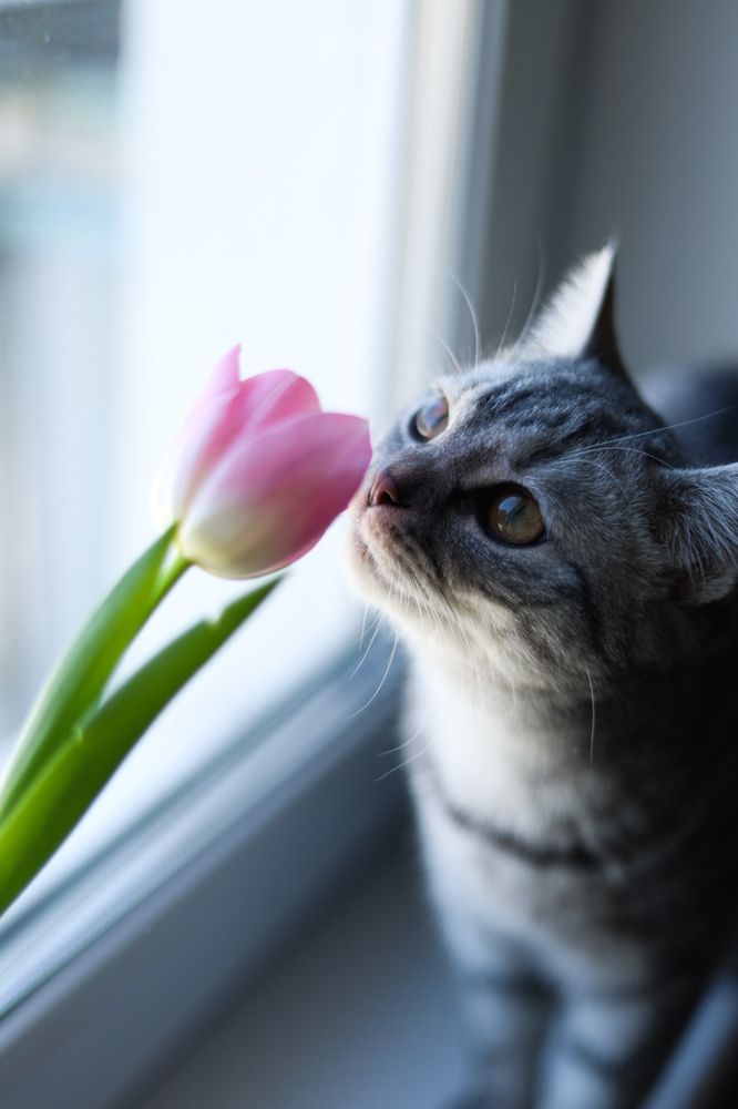 Photograph by Шибанова Анна