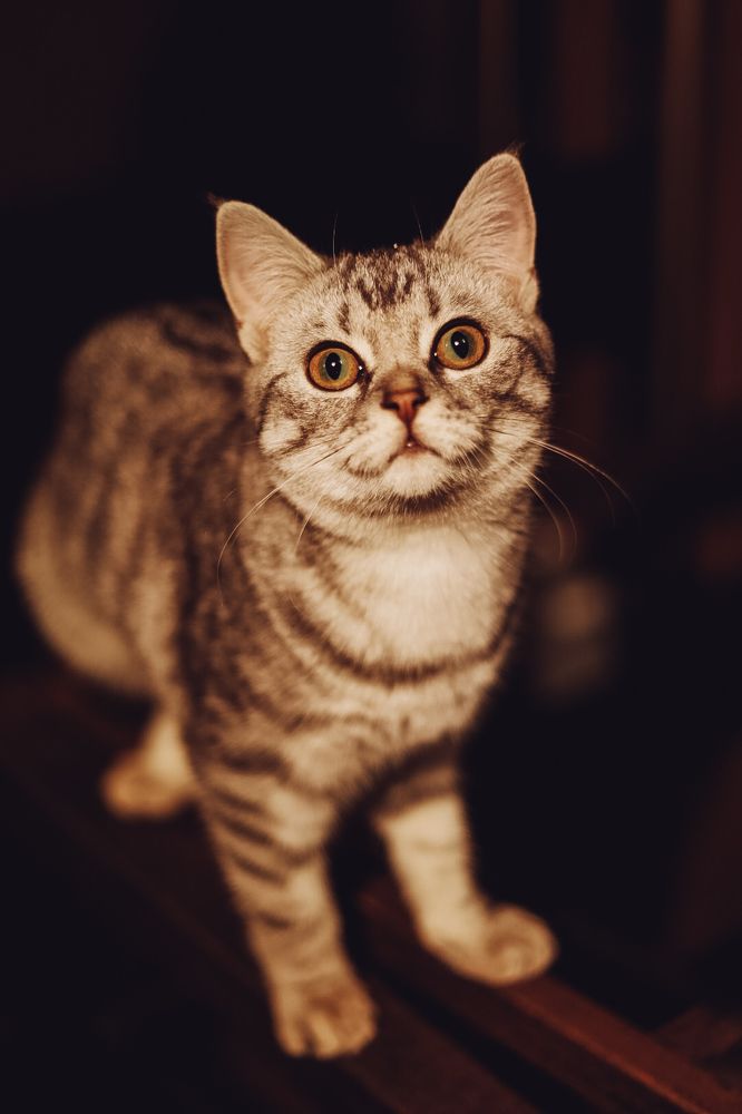 Photograph by Шибанова Анна