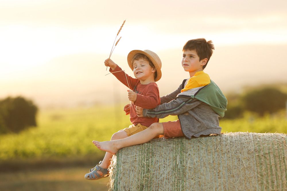 Photograph by Marta Jané