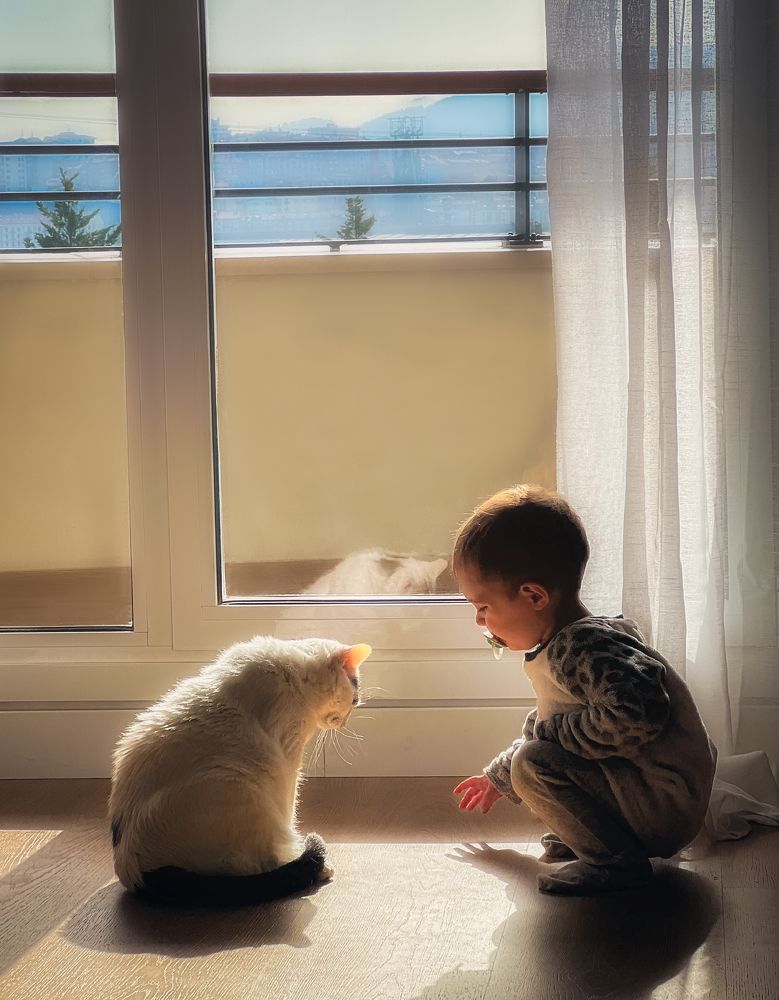 The kitten and her little friend