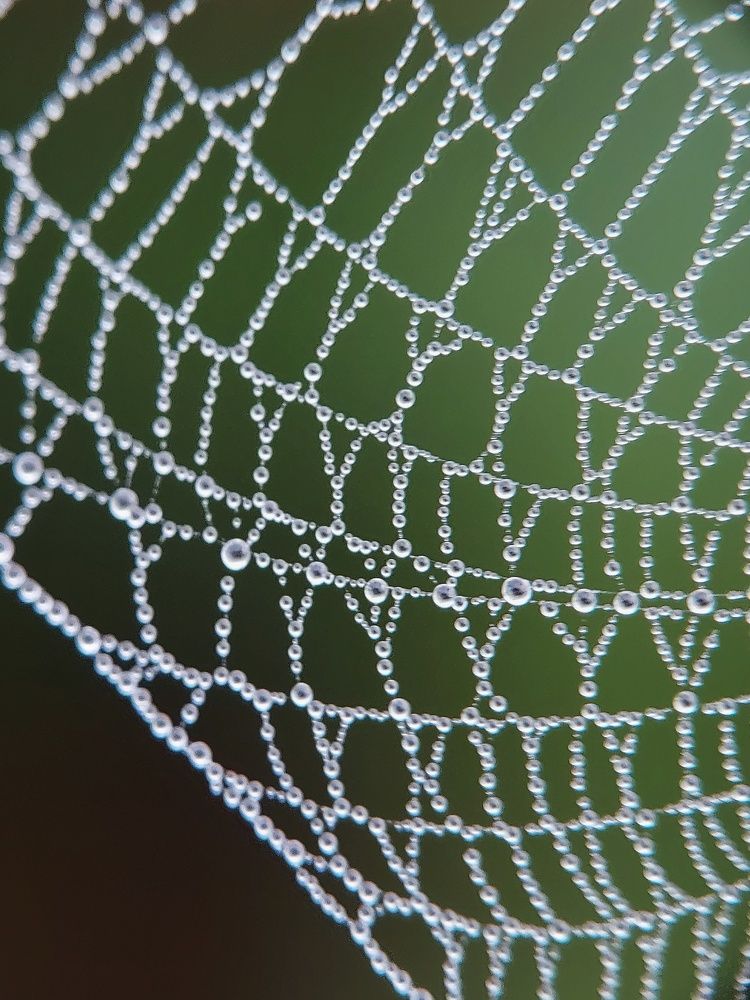 Photograph by Mimie Saari