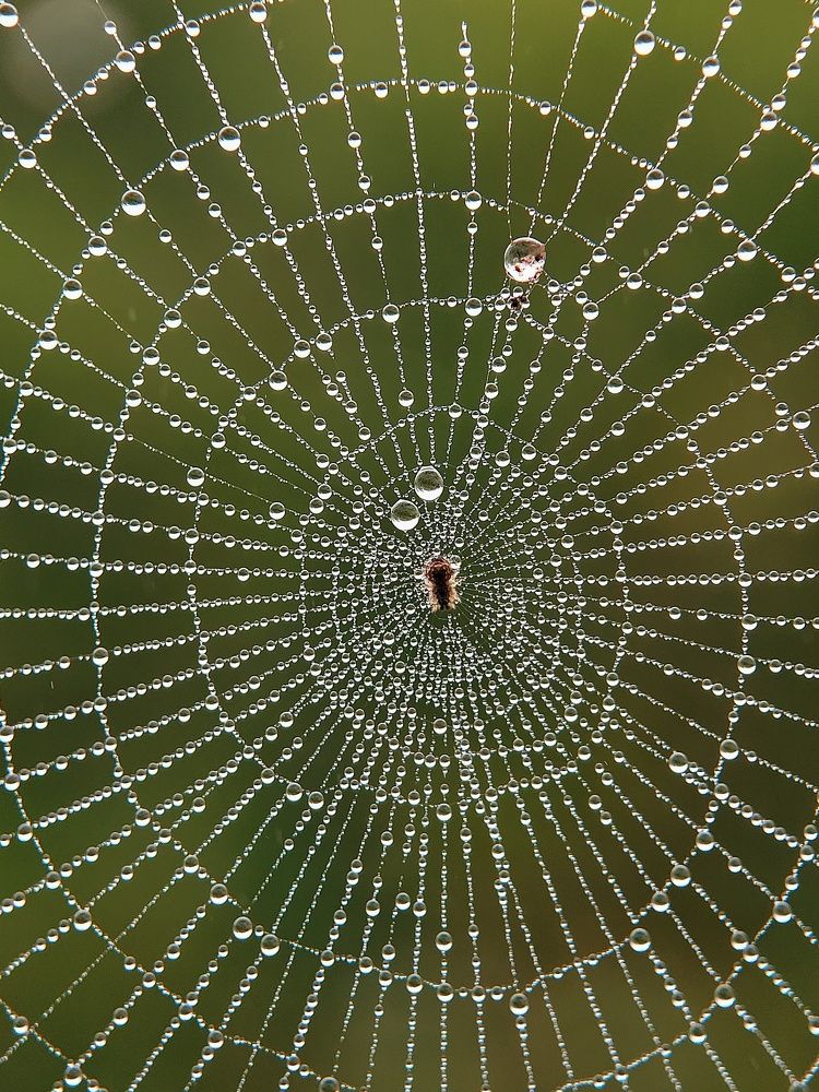 Photograph by Mimie Saari