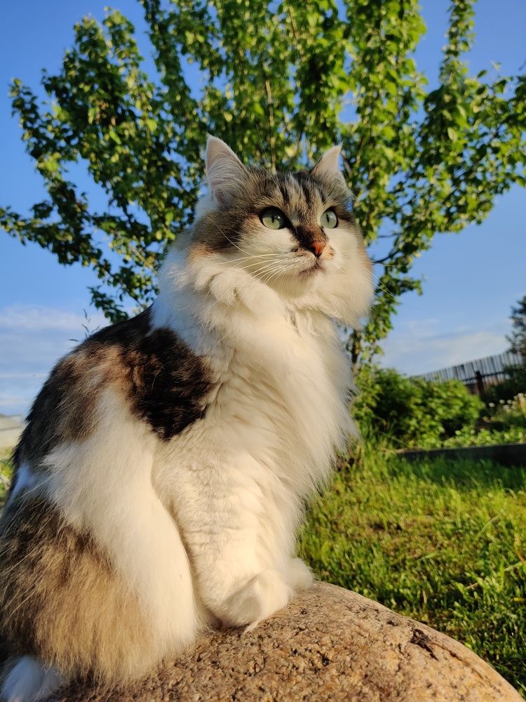 Photograph by Алексей Царевский