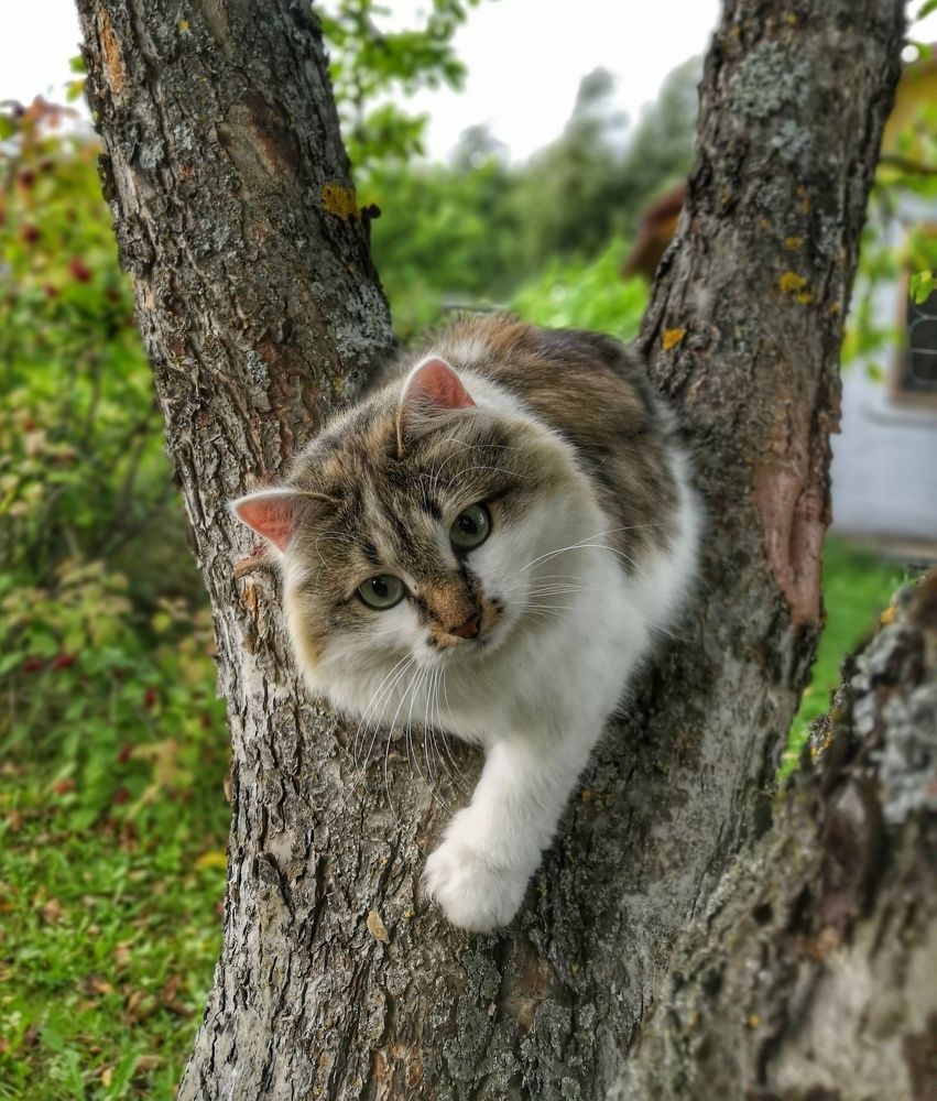 Photograph by Алексей Царевский