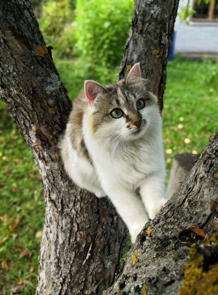 Photograph by Алексей Царевский