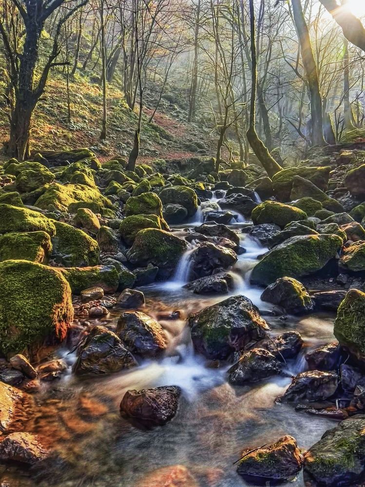 Photograph by roya razaghi