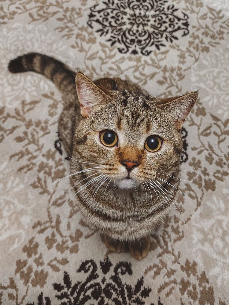 Photograph by Дарья Овсянникова