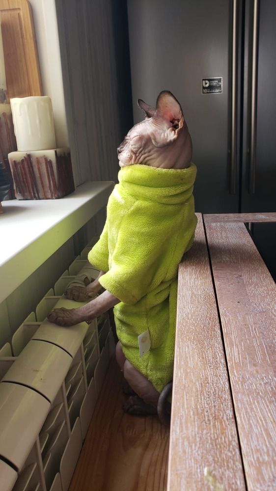 Photograph by Светлана Иванова