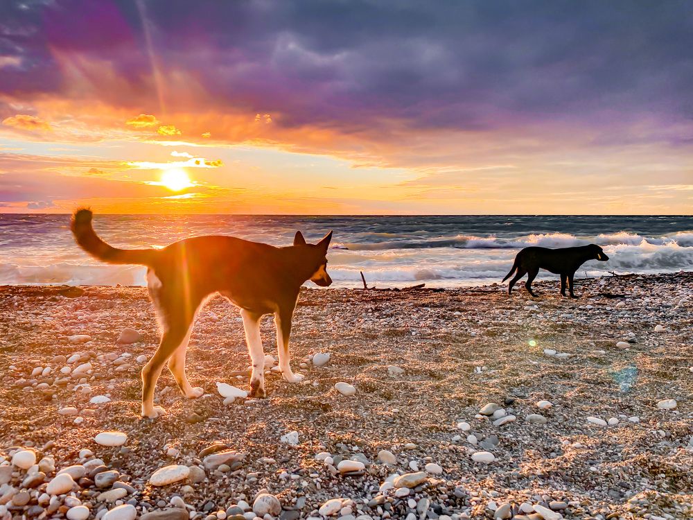 Photograph by Алена Афанасьева
