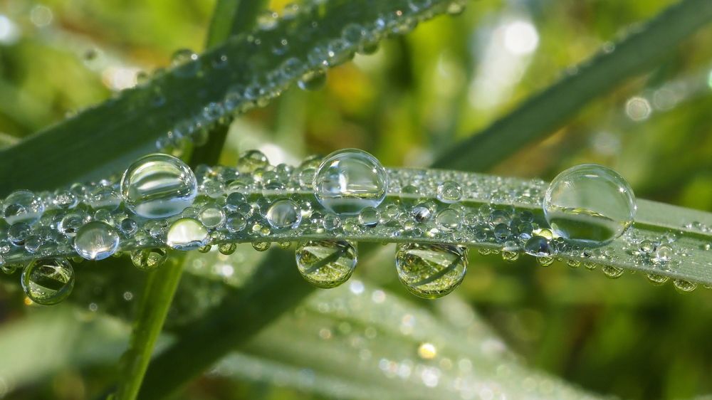 Photograph by Елена Харитонова