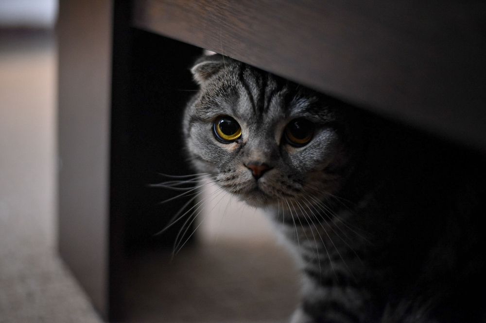 Photograph by Ксения Чапуринская