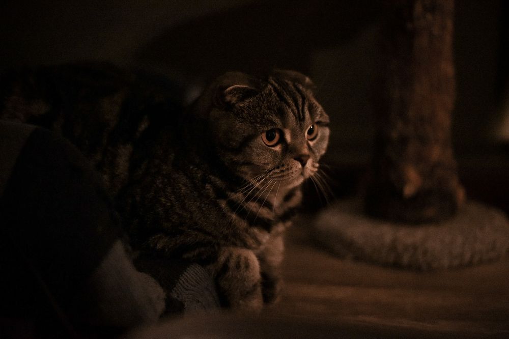 Photograph by Ксения Чапуринская