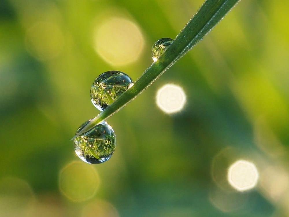 Photograph by Елена Харитонова