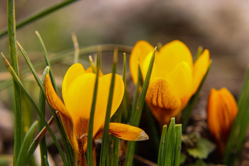 Photograph by Ирина Дмитриенко