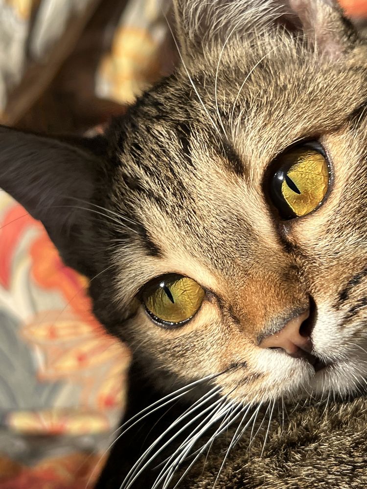 Photograph by Стрелкина Алиса