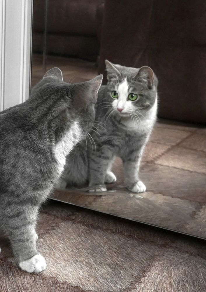 Photograph by Юрий Гау