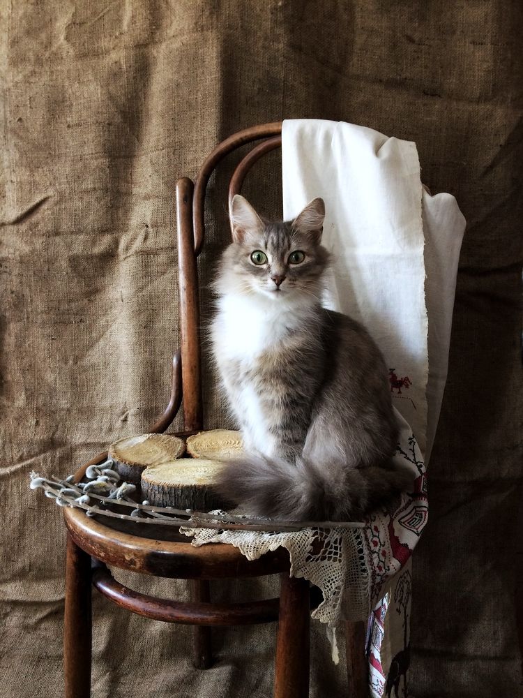 Photograph by Ирина Щербакова