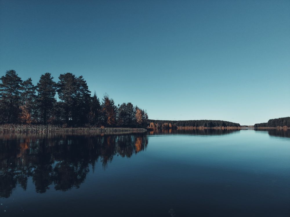 Photograph by Светлана Галкина